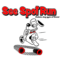 See Spot Run
